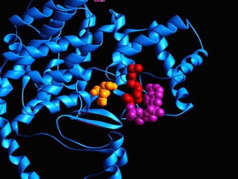 .5kΩ,Rb2=2.5kΩ,Rc=2kΩ,Re=1kΩ,晶体管β