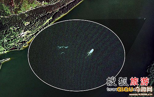 1尼斯湖水怪简介:尼斯湖水怪,是地球上最神秘也最吸引人的谜之一.