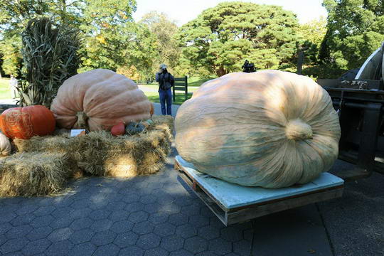 吉尼斯世界纪录盘点 世界最大嘴巴长17厘米