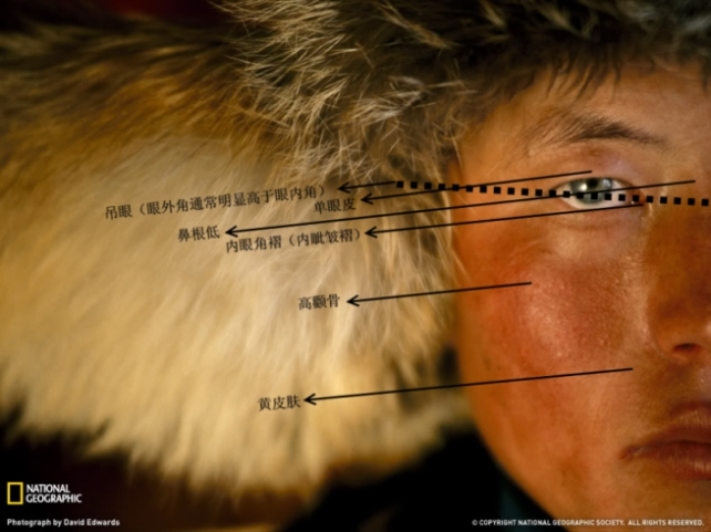这也是蒙古人种的特征之一