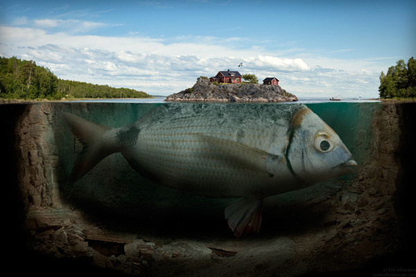江湖传说!谁是最大的淡水鱼?