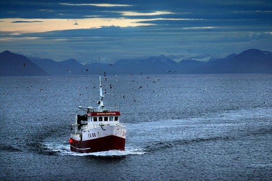 北冰岛洋流被发现 或影响北美及欧洲气候