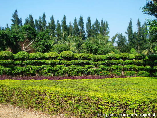 湛江观海长廊:老冰室里有流年的记忆