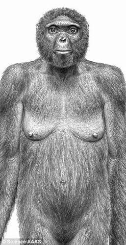 科学家发现最早人类祖先 距今440万年