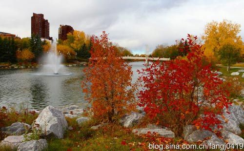 赏加拿大秋季色彩 游五彩斑斓枫叶之国