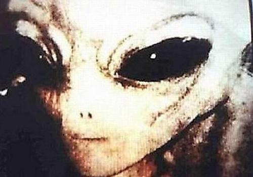 曾震惊世界的外星人照片08(8 /13张)