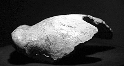 寻找丢失的 北京人 头盖骨 说法不一可能已毁坏