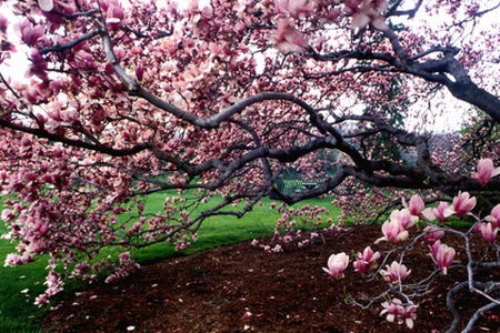 小洲村烧烤场 浓厚乡土气息
