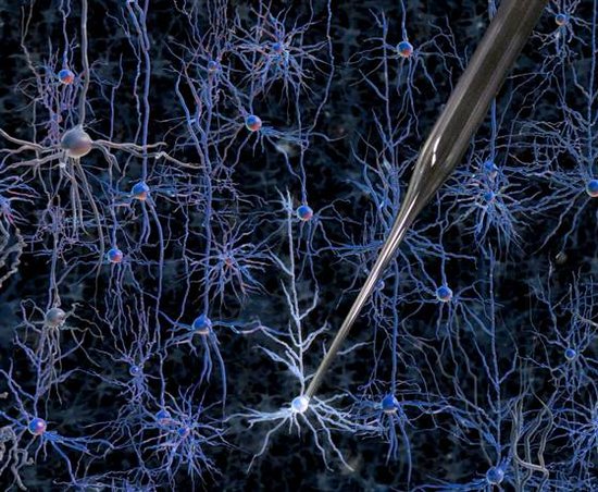 记录神经细胞信息 打开神经系统科学新纪元