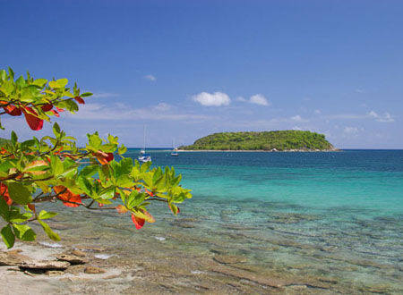 波多黎各比耶克斯岛(isla vieques)