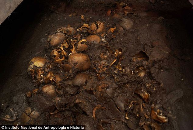 骨骸证据显示古阿兹特克族进行血腥人祭仪式