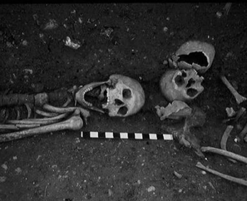 英国发现千年吸血鬼尸体 身体多处被钉入金属钉