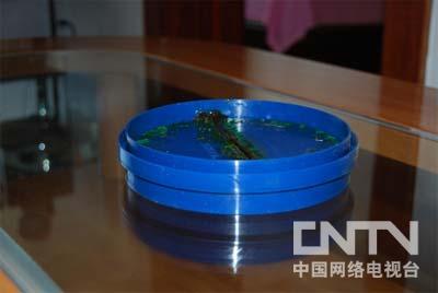 [我爱发明]排烟机止回阀-发明梦工厂